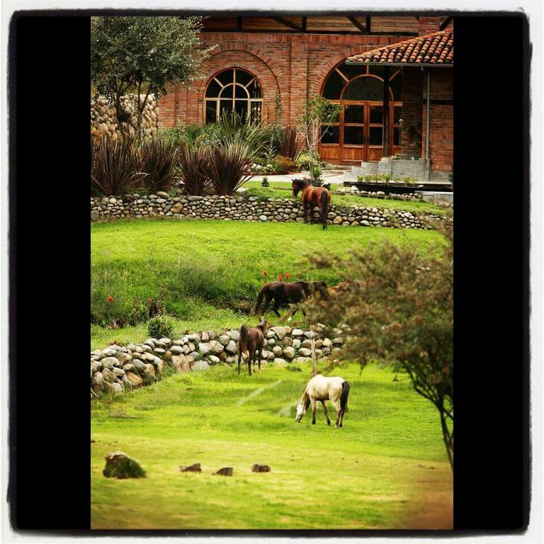 Hosteria Caballo Campana Cuenca Exterior photo